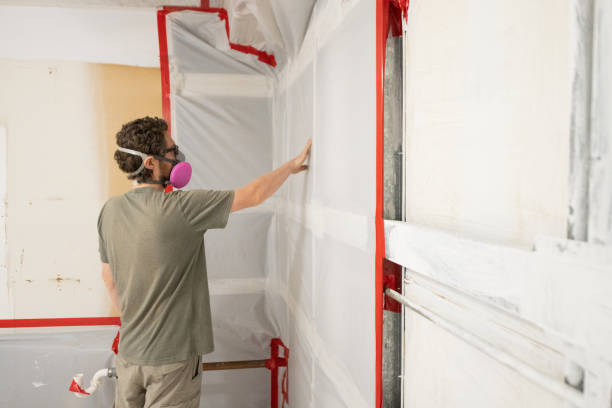 Best Asbestos and Lead Testing During Mold Inspection  in Page, AZ