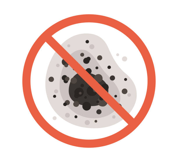Best Air Quality Testing for Mold Spores  in Page, AZ